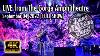 Dave Matthews Band 09 04 2022 Full Show 4k The Gorge Amphitheatre N3 George Wa