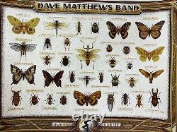 Dave Matthews Band 2022 Half Hazard poster x/125 variant summer tour