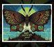 Dave Matthews Band Charlotte Nc Print Poster 7/24/21 Butterfly Jeff Soto Le 800