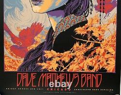 Dave Matthews Band Chicago Poster 2021 ken taylor art