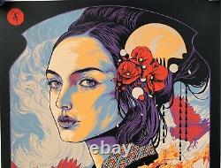 Dave Matthews Band Chicago Poster 2021 ken taylor art