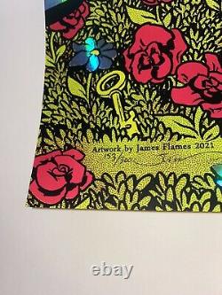 Dave Matthews Band Everyday Song Poster Rainbow Foil X/300 Signed James Flames