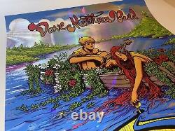 Dave Matthews Band Everyday Song Poster Rainbow Foil X/300 Signed James Flames