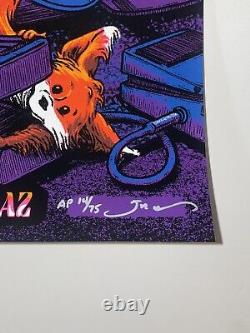 Dave Matthews Band Poster Phoenix AZ Official AP Signed X/75 Silkscreen Flames