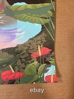 Dave Matthews Band Poster Tampa FL 2021 #ed/ 820 Sold Out Kevin Tong Mint