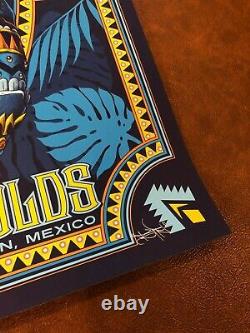 Dave Matthews and Tim Reynolds Mexico N3 Bioworkz AP blue DMB Jaguar poster Kwok