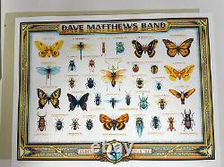 NEW Dave Matthews Band Summer 2022 Tour Poster Butterfly DMB IN HAND