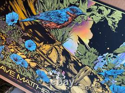 RAINBOW FOIL Dave Matthews Band Poster Forest Hills NY 2023 Ken Taylor AP #/35