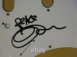 Signed TIM REYNOLDS Autographed Pick Guard Dave Matthews Band BECKETT BAS COA